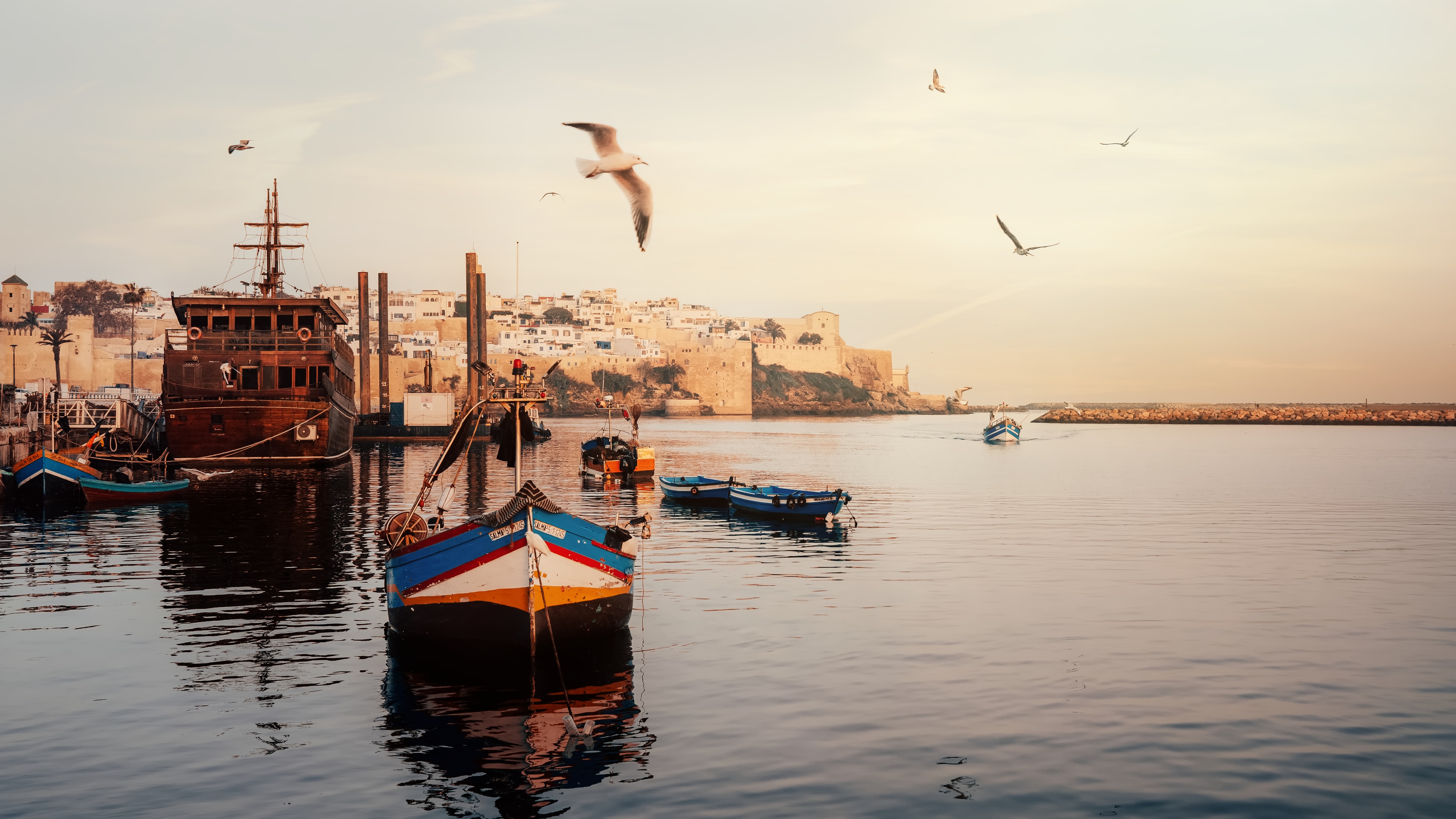 Pourquoi avoir le Tamron 35-150mm, pour couvrir ce type d’événements ?