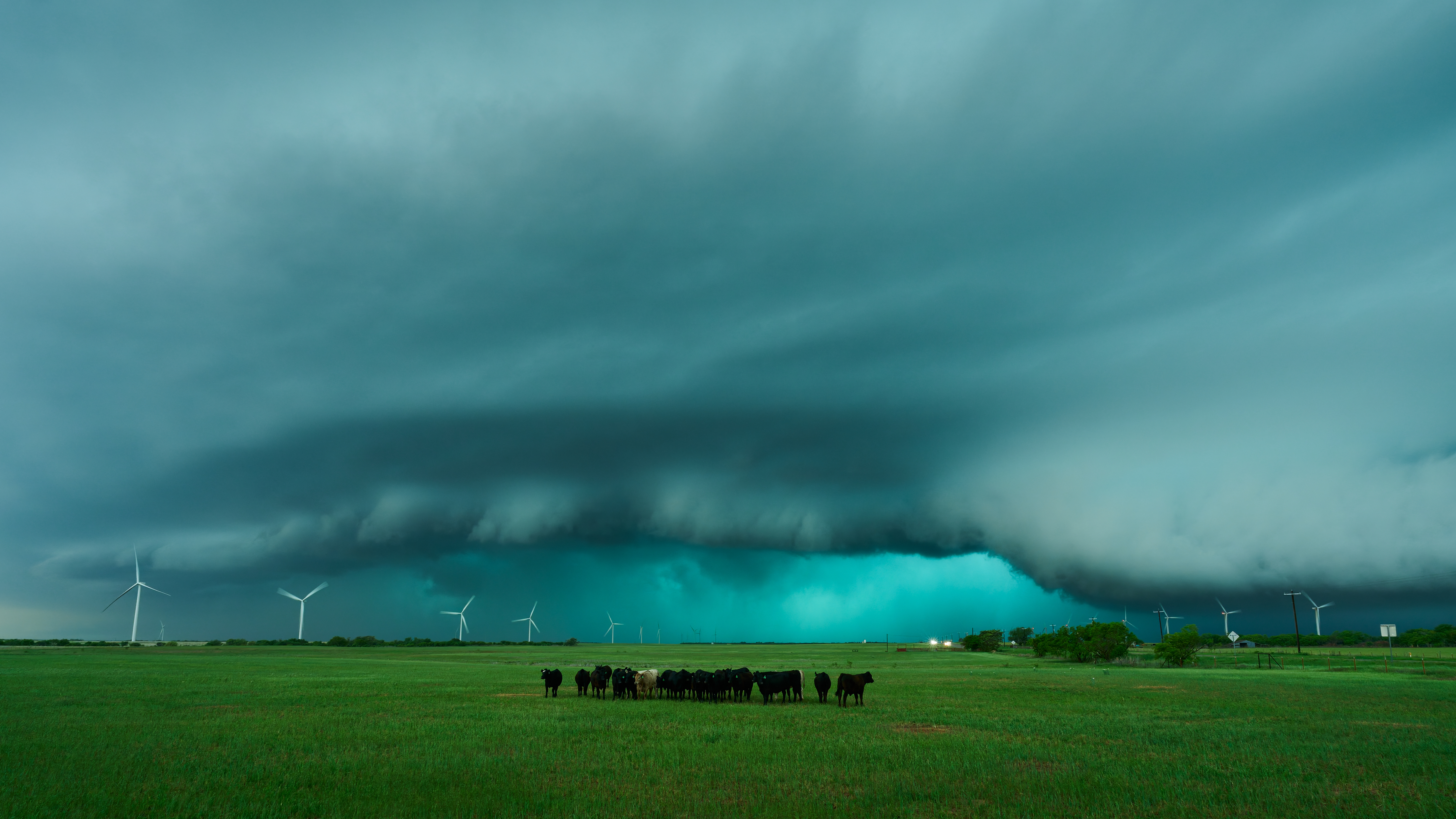 Cows stand in a green field under a dramatic, swirling stormy sky with wind turbines in the background.