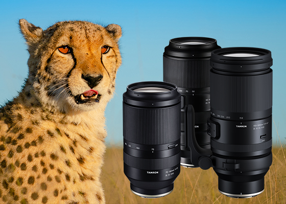 Telephoto lenses