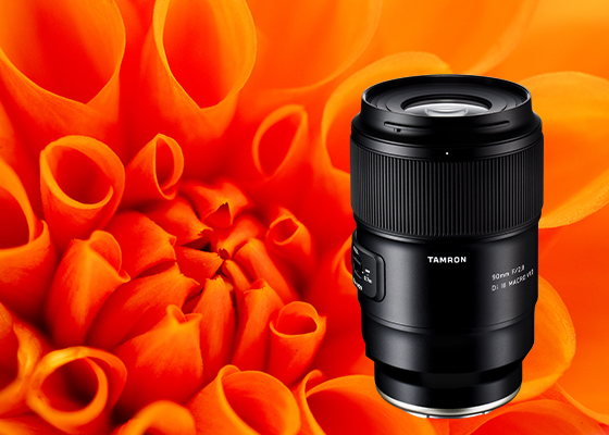 Macro lenses