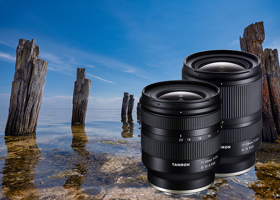 Wide-angle lenses