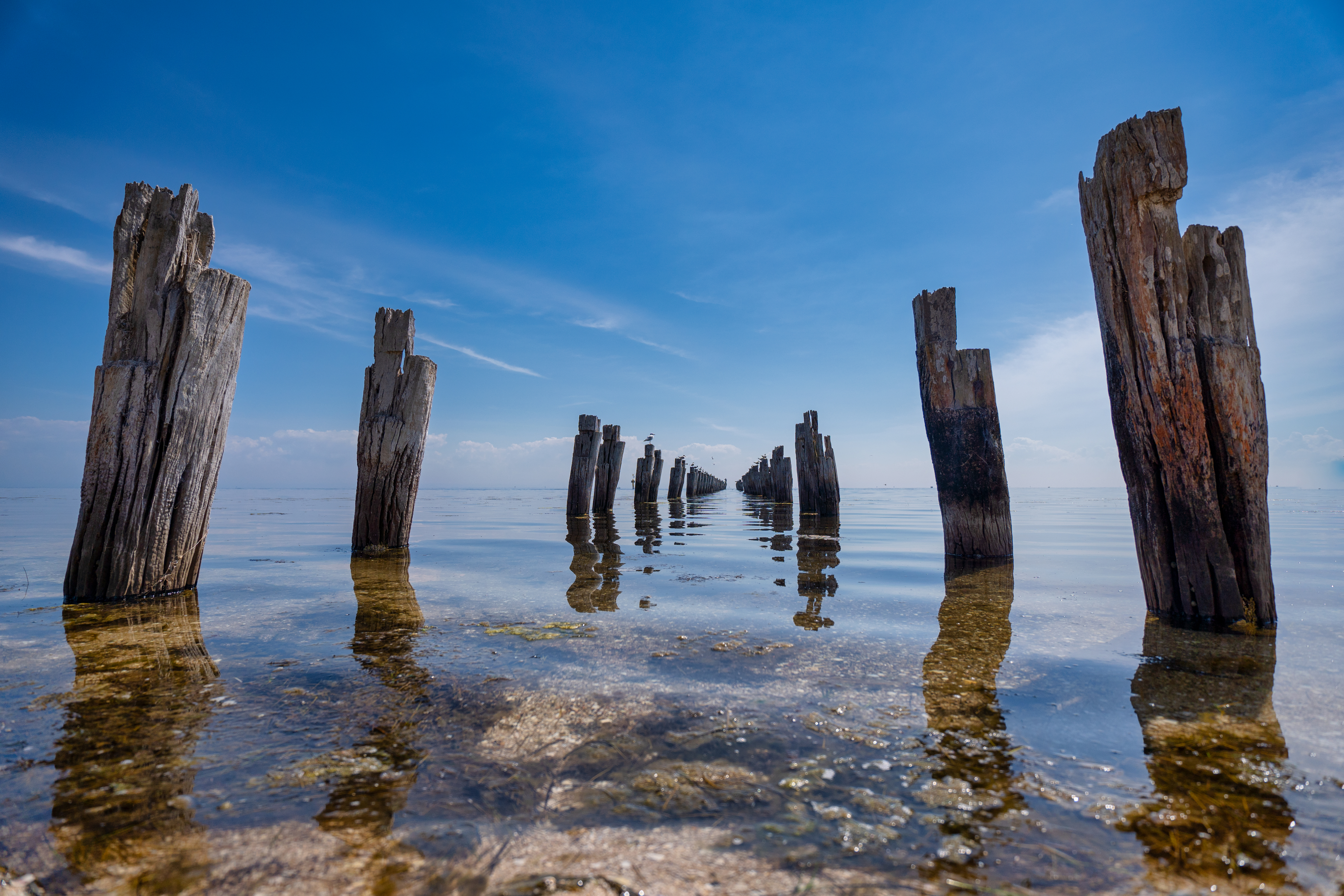 Which wide-angle lens to choose?