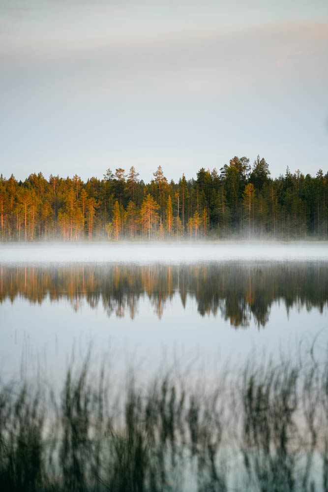 Landschaft verdichten mit 180 mm
