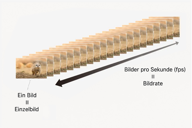 Diagramm, das eine Bildsequenz mit einem zeigt und das Konzept der Bilder pro Sekunde (fps) und der Bildfrequenz veranschaulicht.