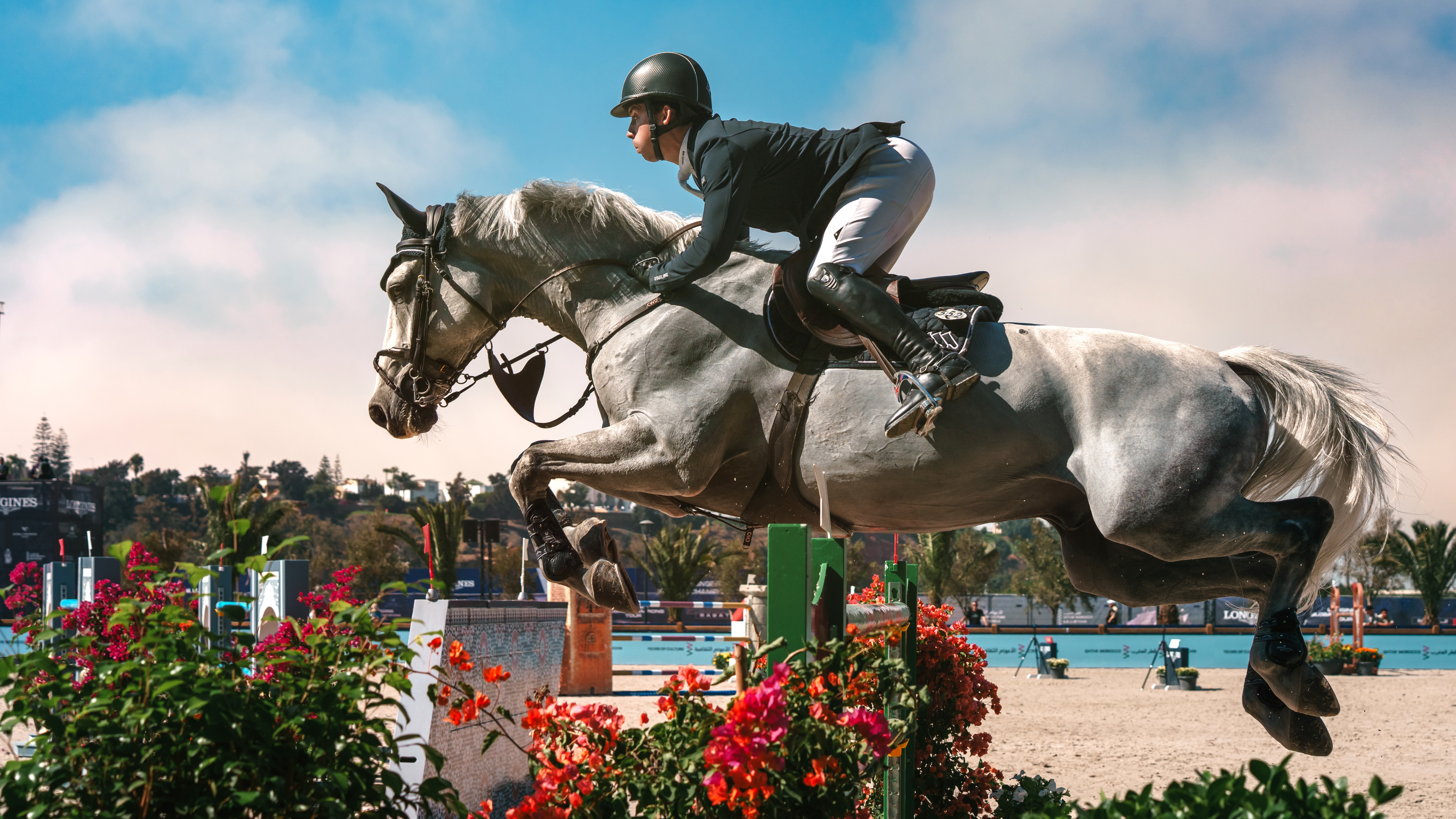 Tu as un lien particulier avec les chevaux, n'est-ce pas ? Peux-tu nous en parler davantage ?