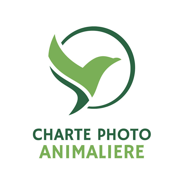 Comment réussir ses photos animalières tout en respectant la vie sauvage ?