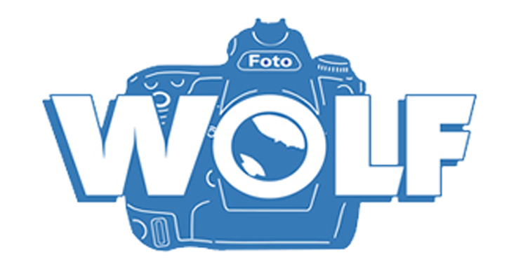 Foto Wolf Dresden