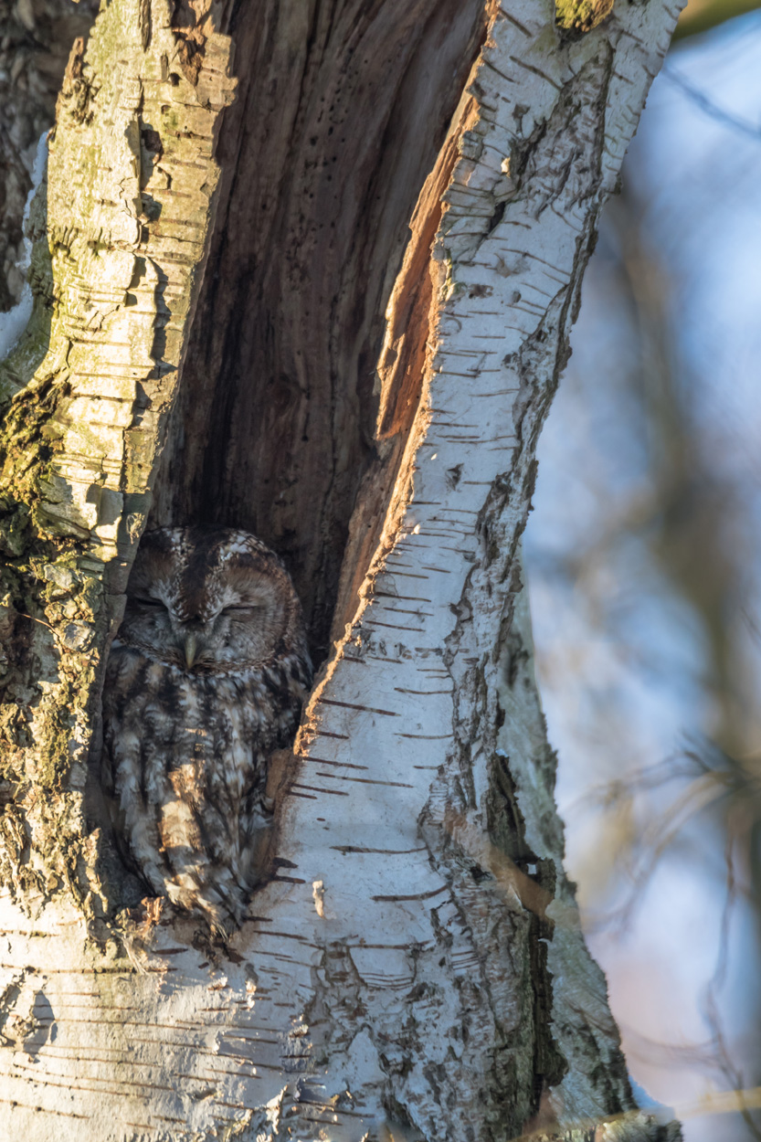Entspannung in der Natur