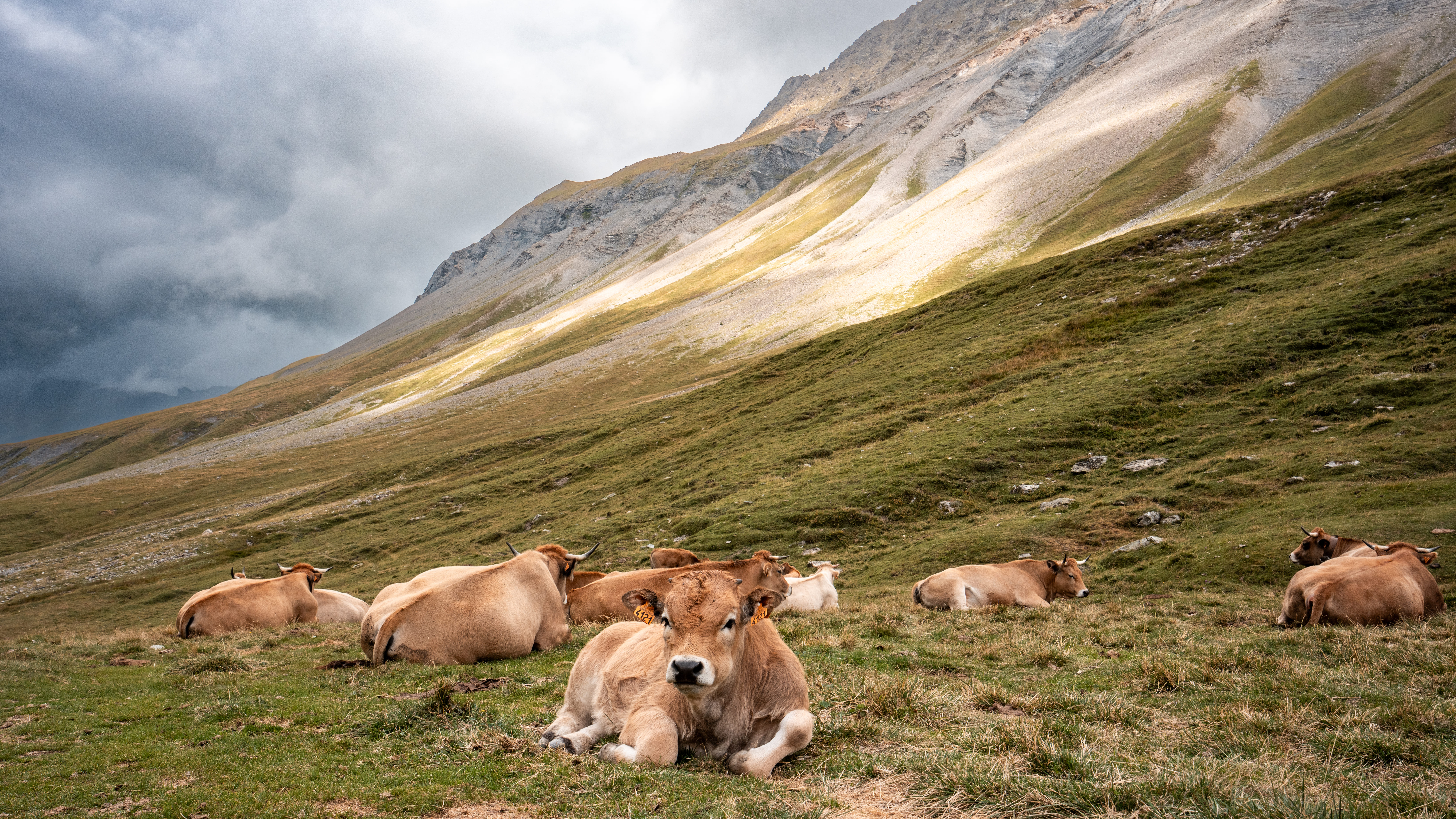 S’adapter au rythme de la montagne