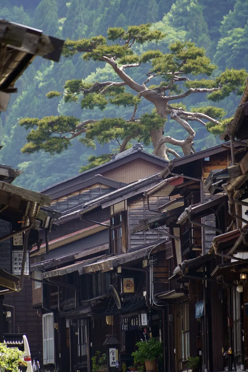 L’effet de compression est accentué avec un téléobjectif