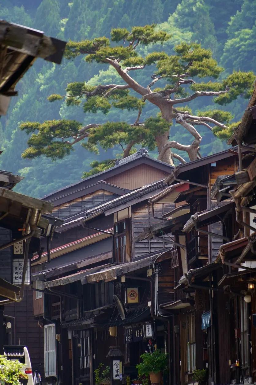 Les téléobjectifs réduisent la perspective