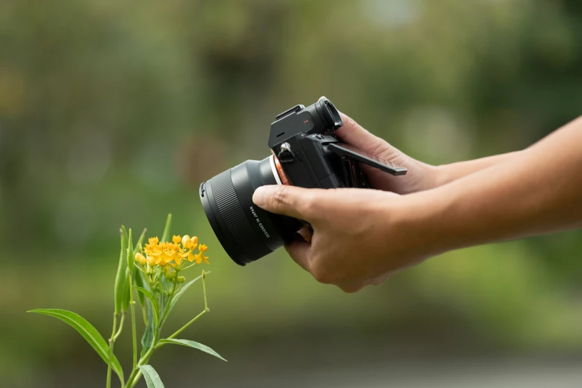 Hände, die eine Kamera halten und draußen kleine gelbe Blumen fotografieren, vor einem verschwommenen grünen Hintergrund.
