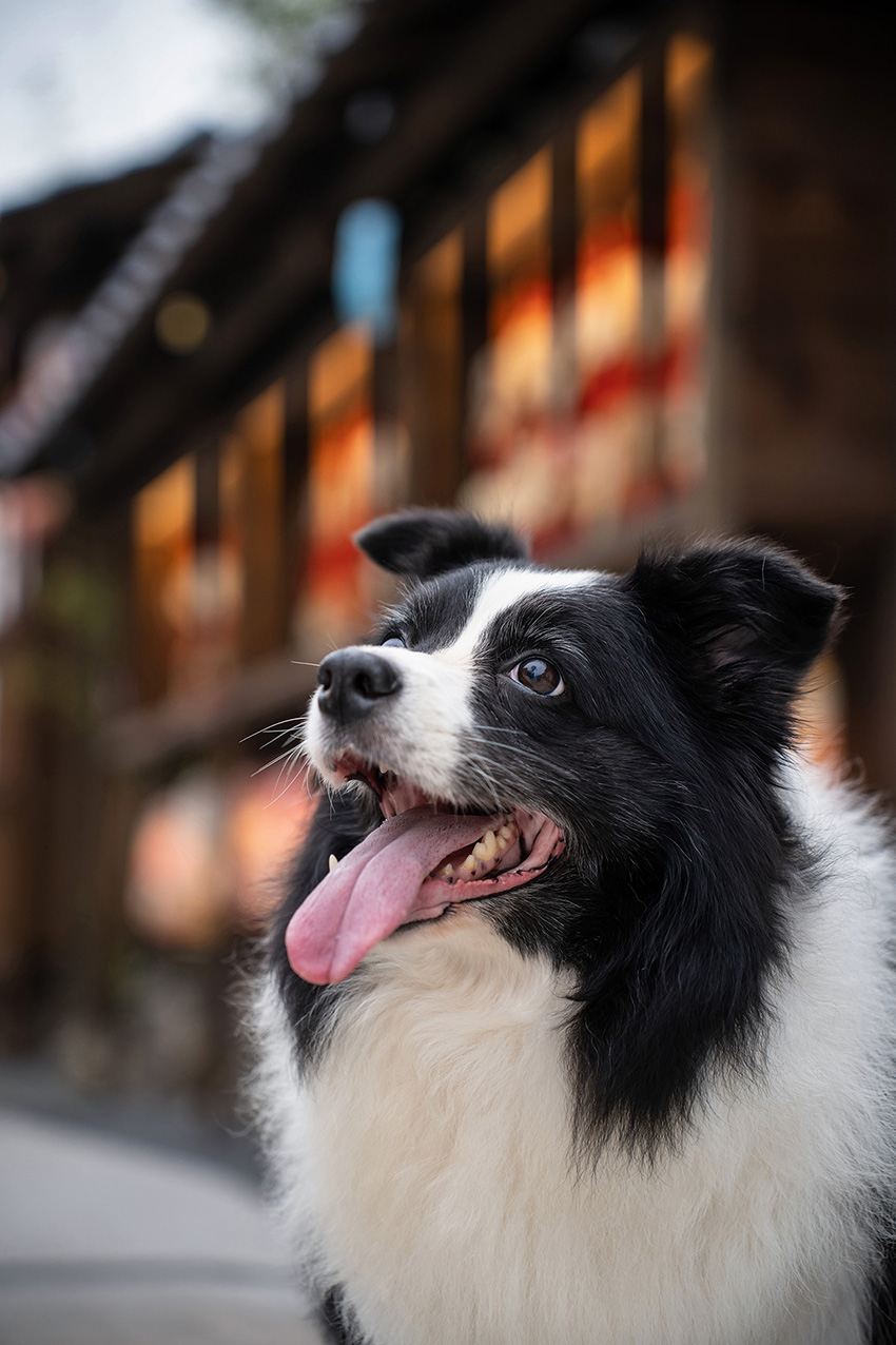 1. Focus on the eyes