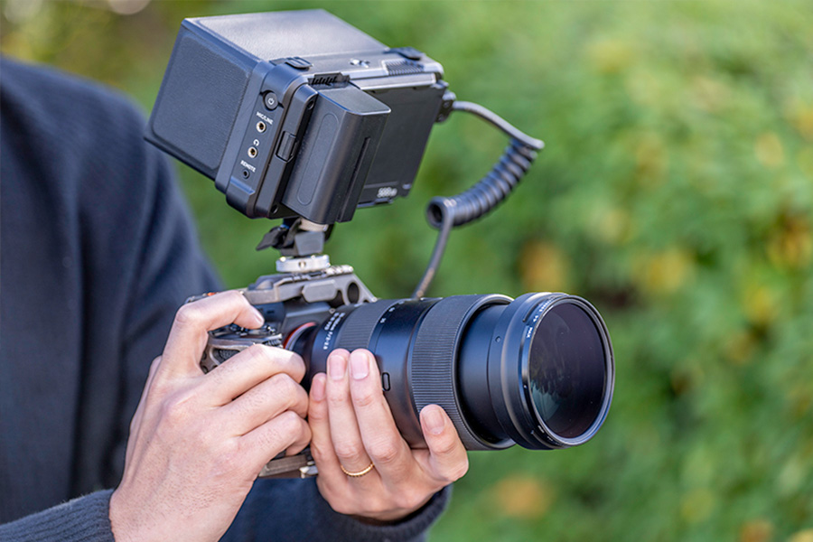 Person holding a camera with a large lens and external monitor, aiming at green foliage with small yellow flowers in the background.