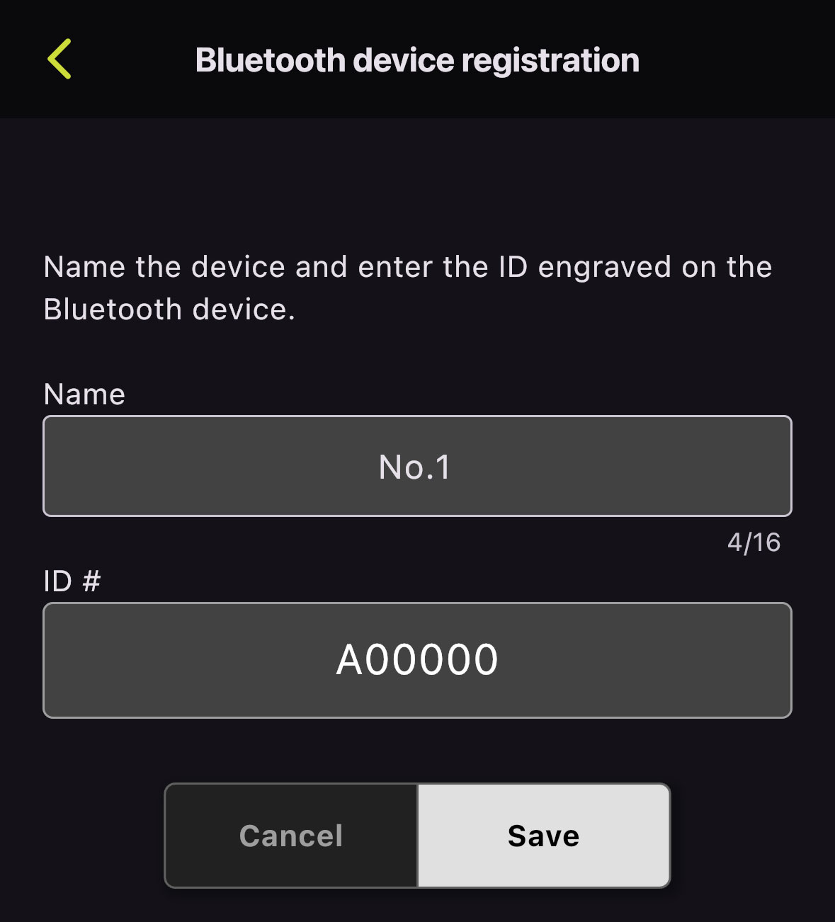 Schritt 2: Gerätename und ID eingeben