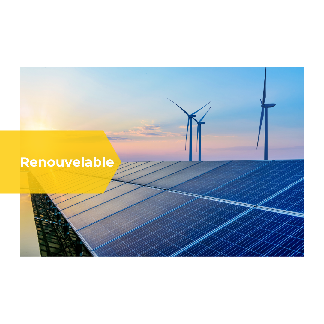 renouvelable