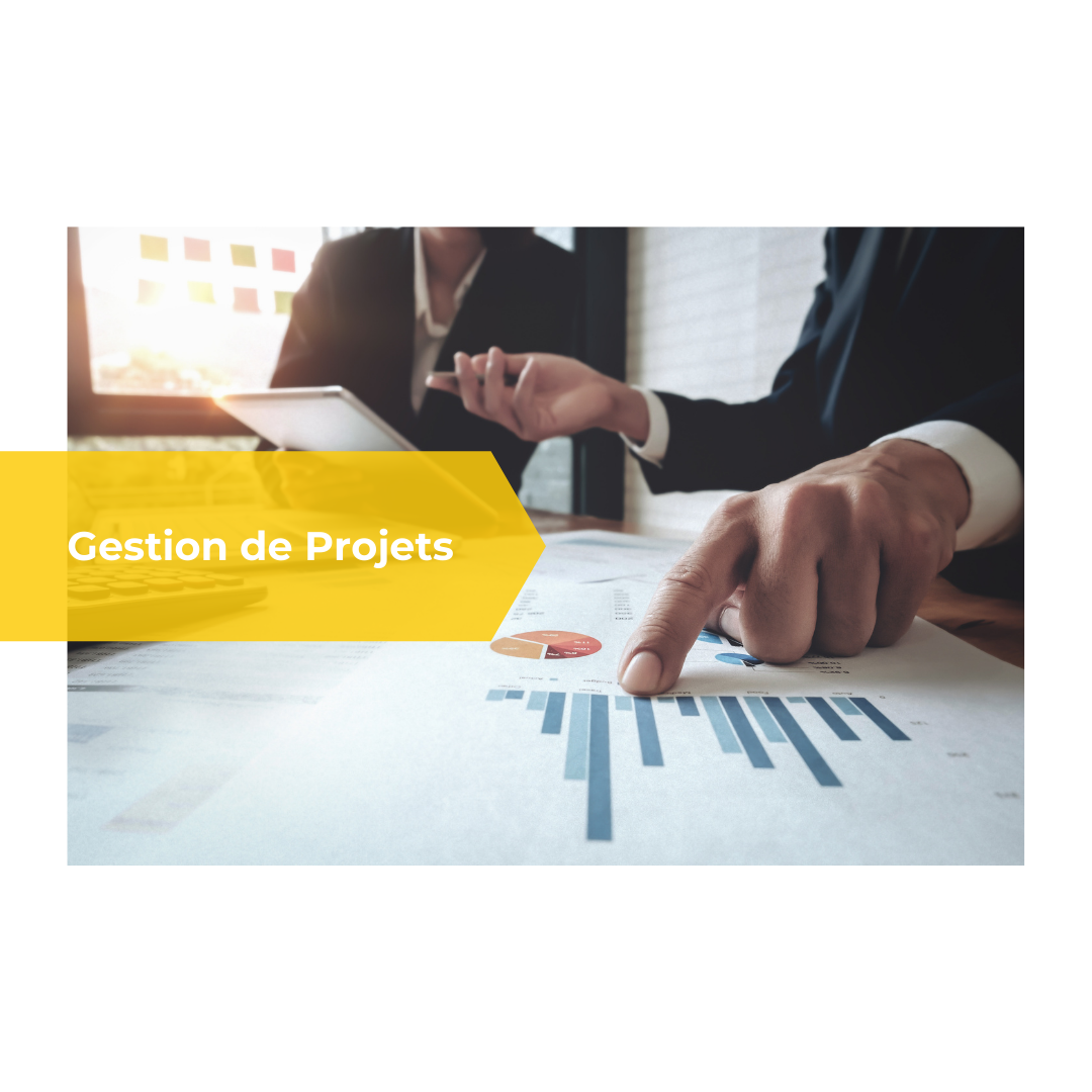 gestion de projets