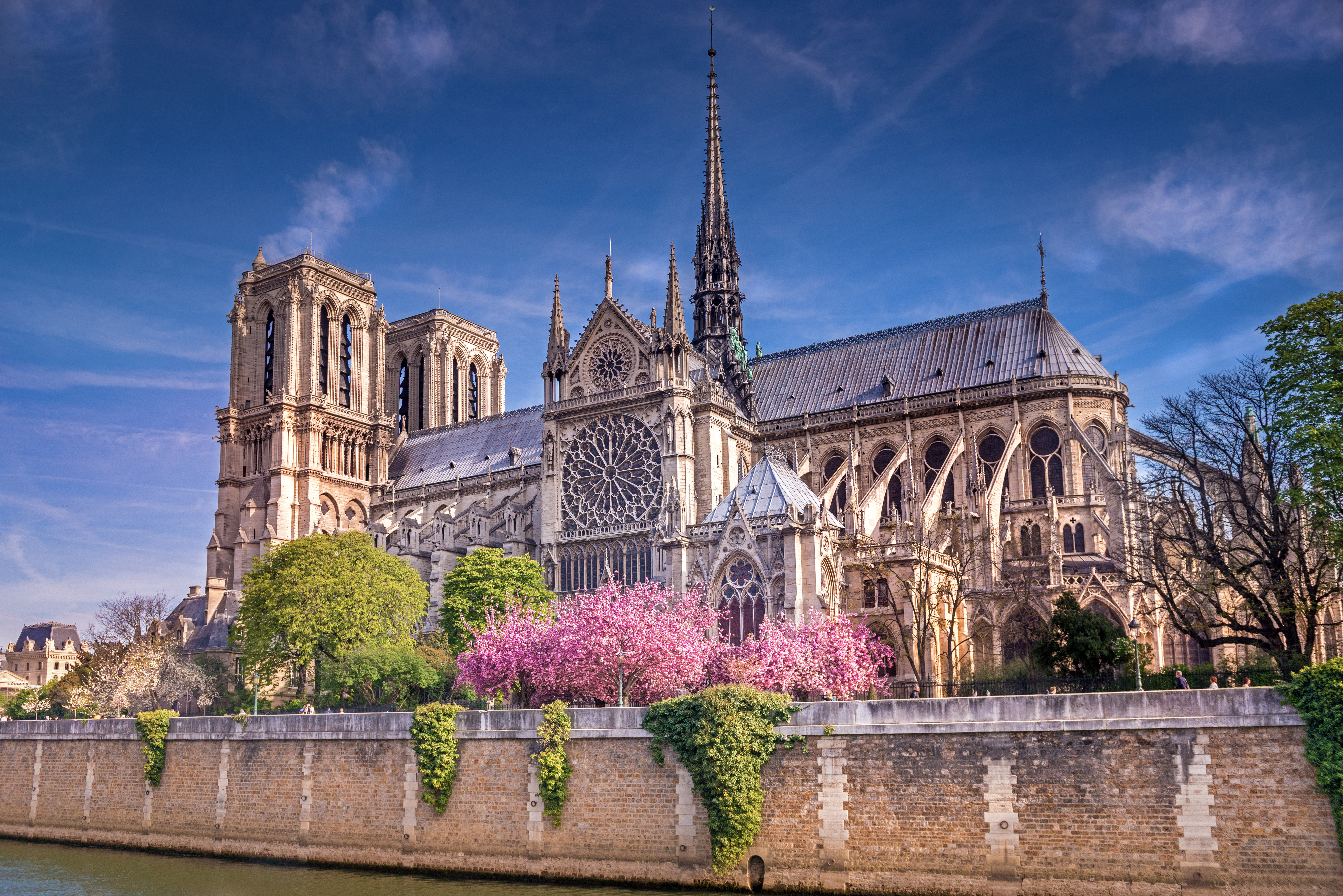 notre dame de paris