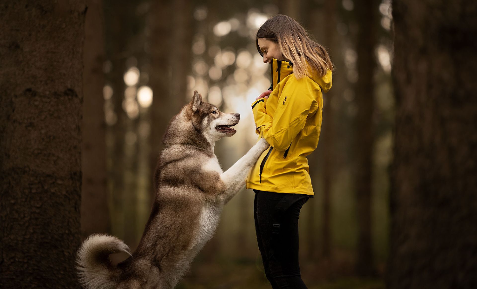 Dog agility shop handler clothing