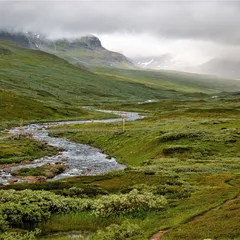 Ammarnäs till Hemavan