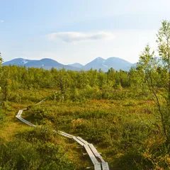 Kungsleden