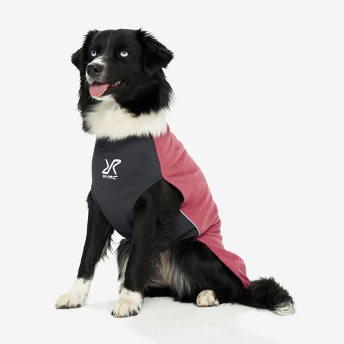 Dog athletic wear best sale