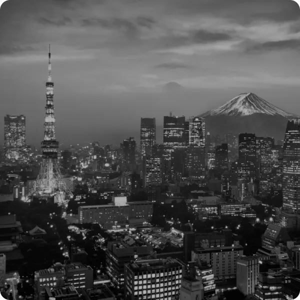 tokyo-gray