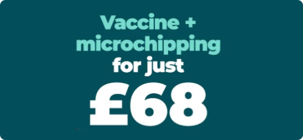 Vaccine + microchipping for just £68