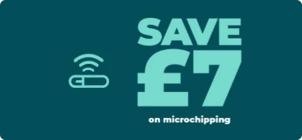 Save £7 on microchipping