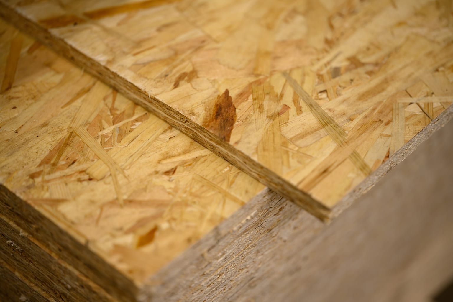 Boron in wood protection and biocides