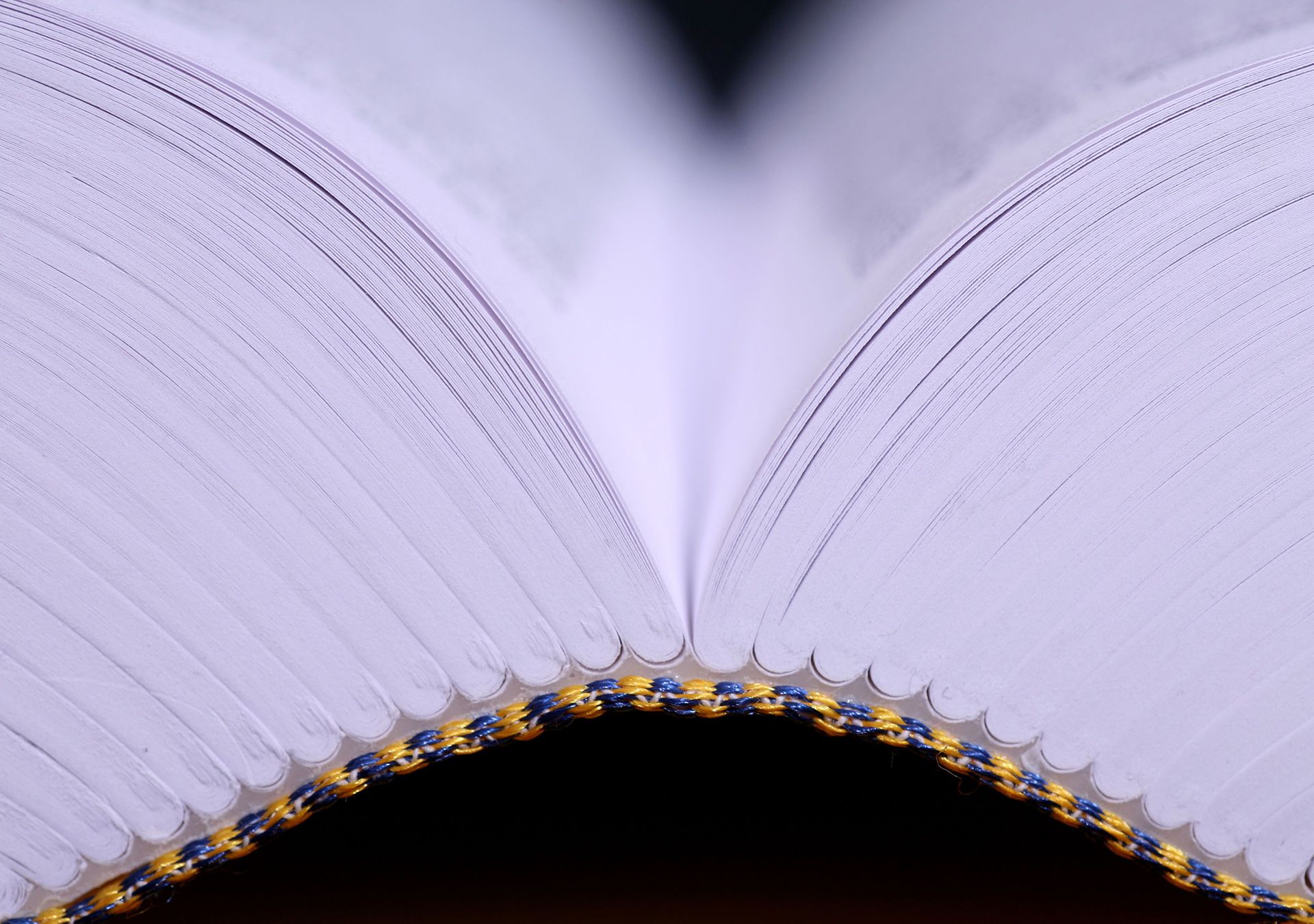 Close-up view of an open book's spine and pages, showing intricate stitching, with blurred edges and a focus on the binding.
