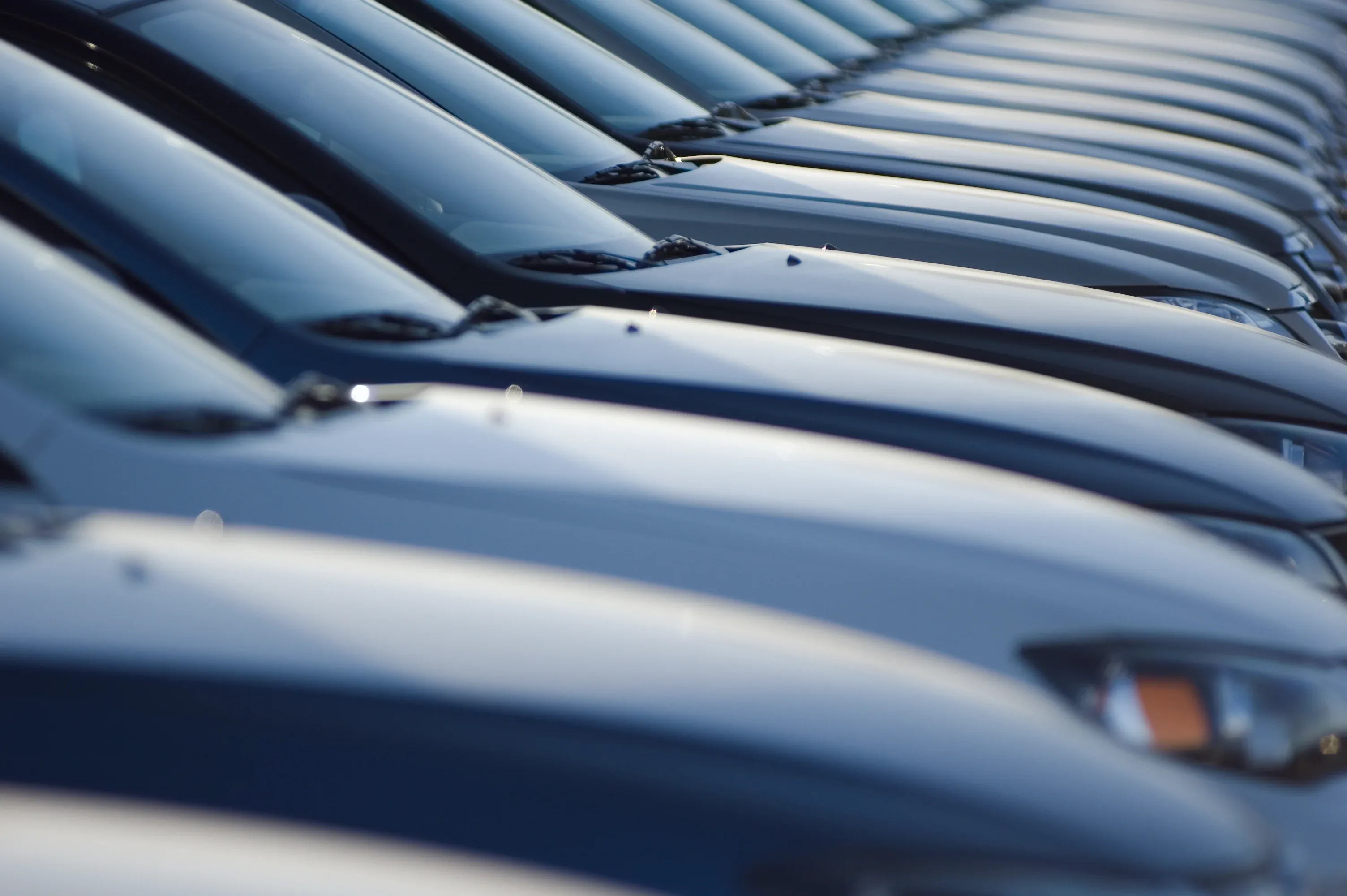 A row of parked white cars with sun reflecting on their hoods, aligned closely in a lot.