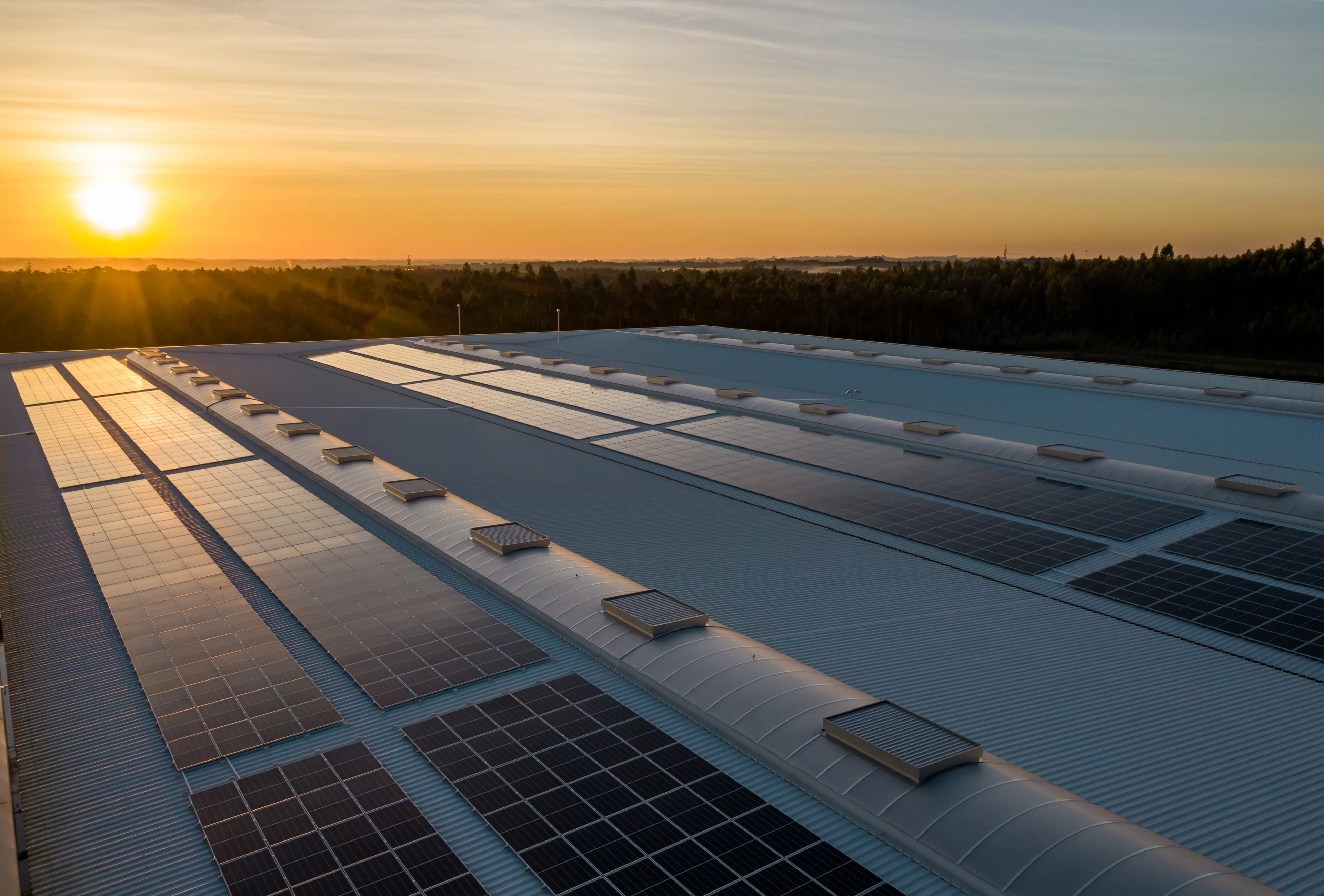 Solar panels with a sunset in the background