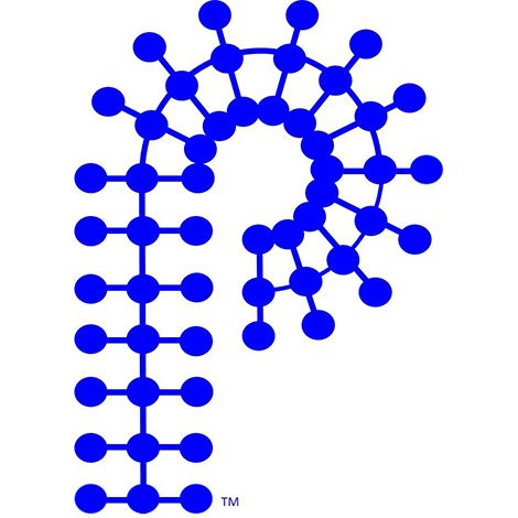 Fire and Polymers