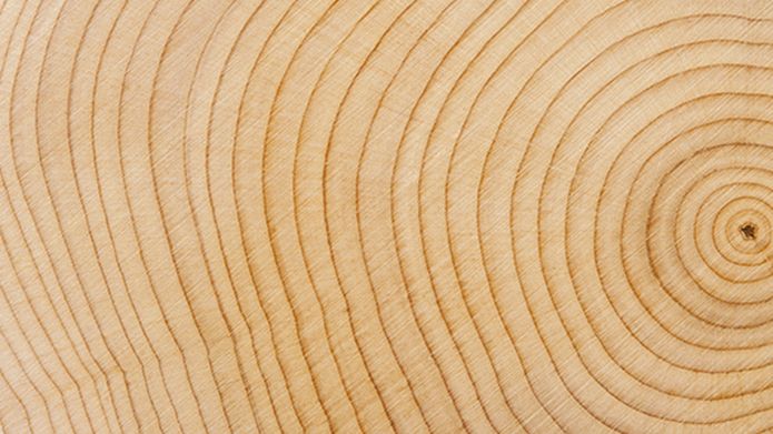 Borates for wood protection: Forest-to-market
