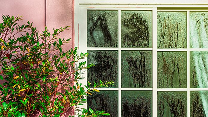Borate wood protection in high humidity