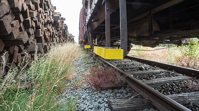 Preserving railroad crossties with borate-creosote treatment