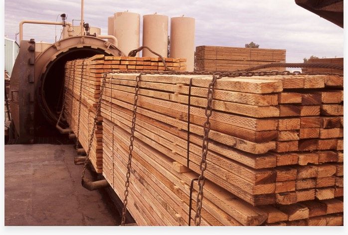 Boron in wood protection and biocides