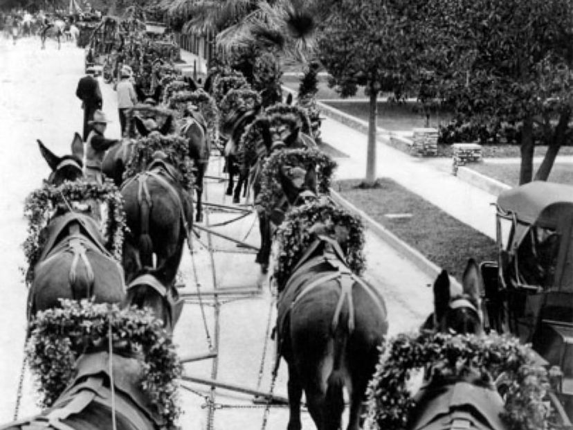 1917 Rose Parade
