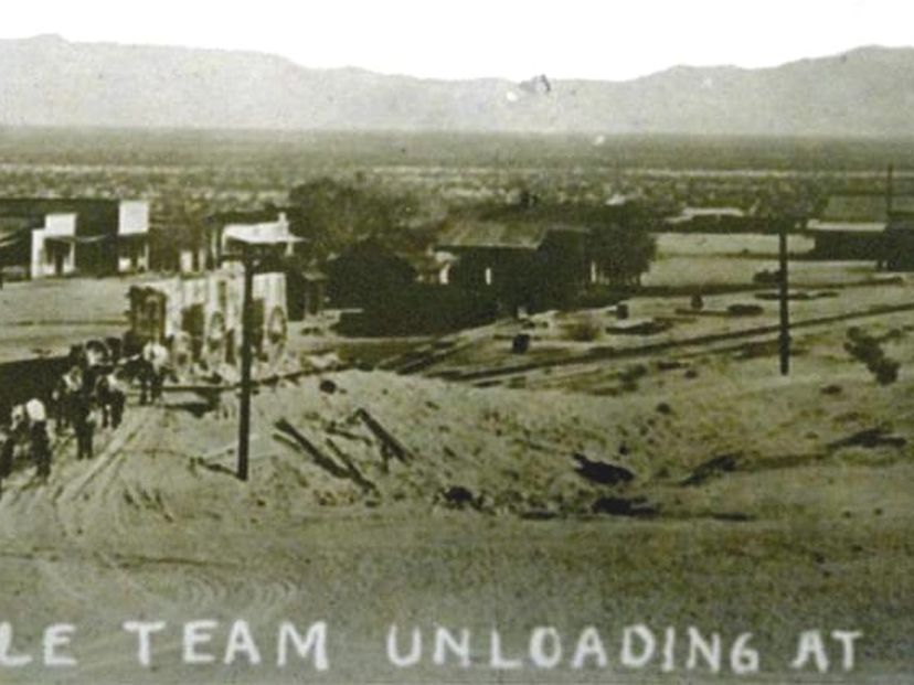 20 Mule Teams unloading in the desert