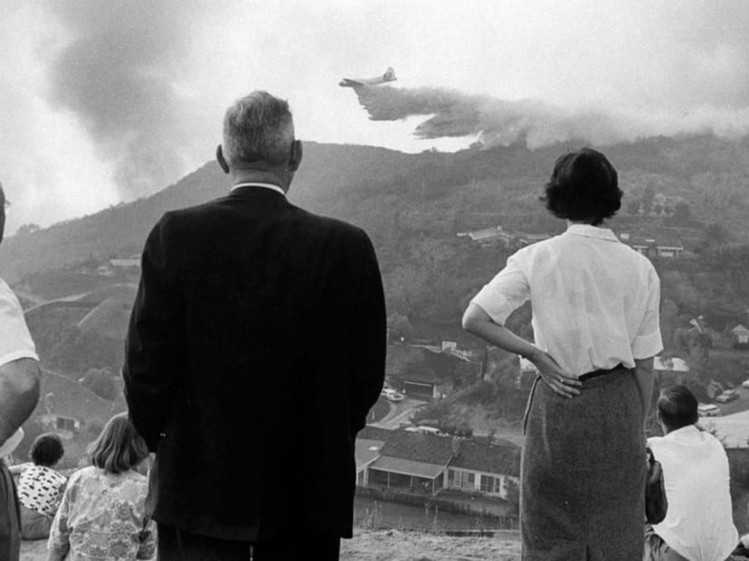 Wildfire 1961