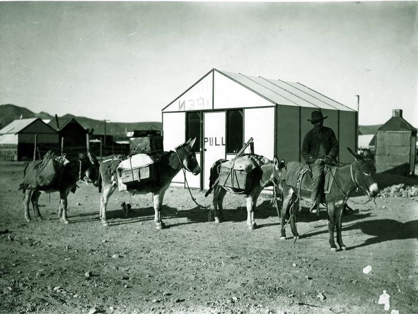 Mining Camp named "Borate" in 1890s