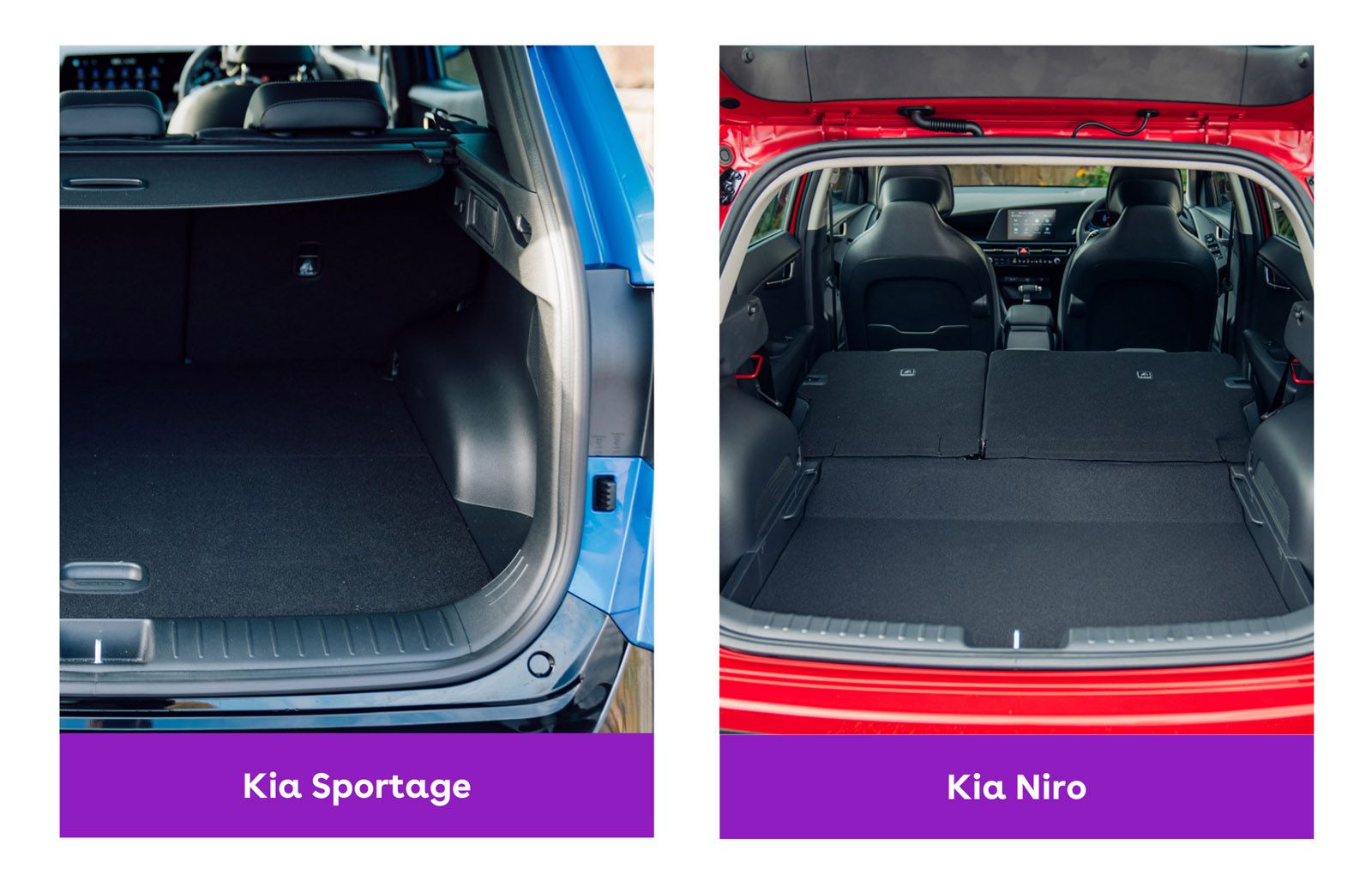 Kia Sportage Vs Kia Niro Which Is Better Cinch