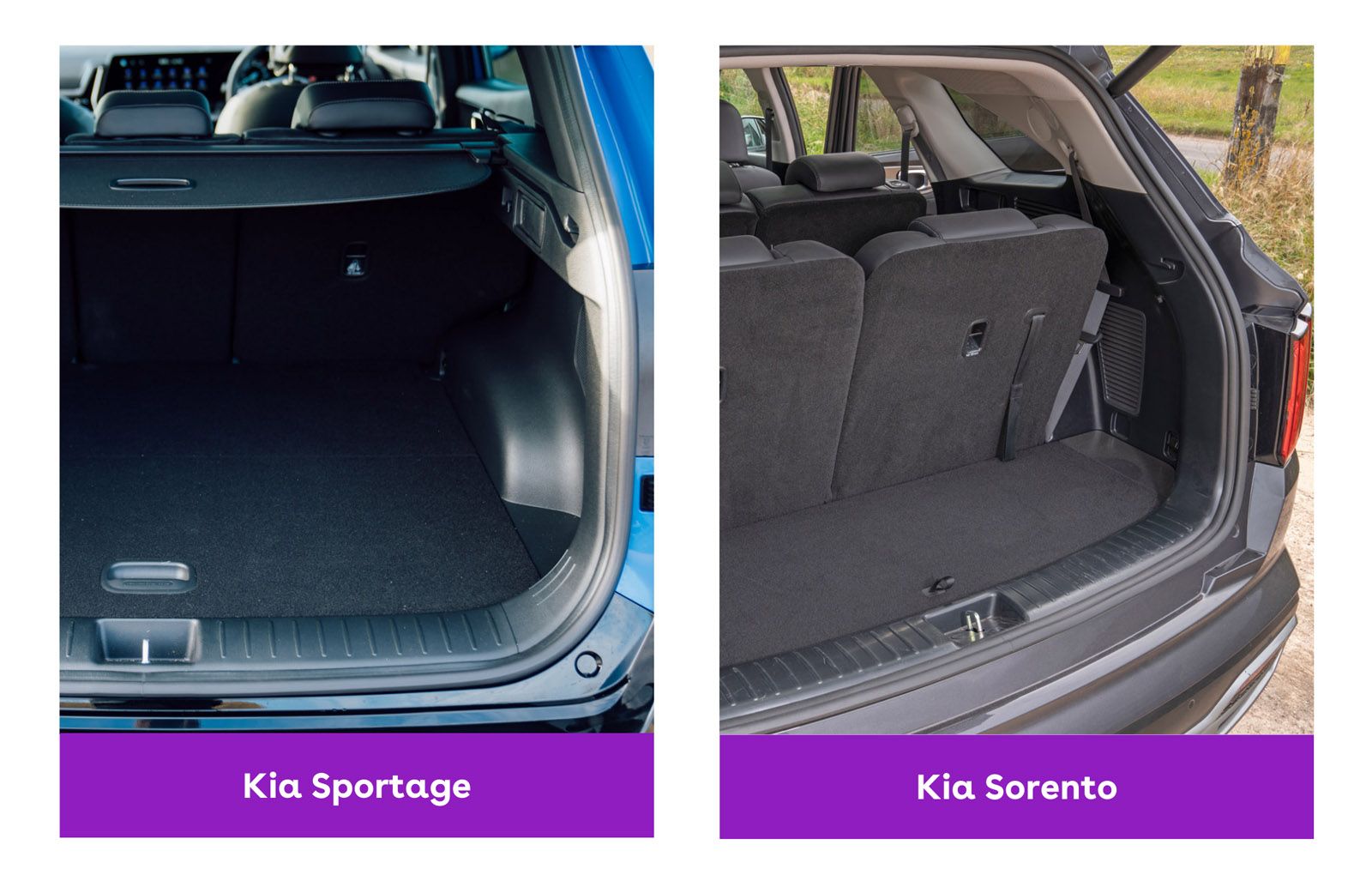 Kia Sportage Vs Sorento Which Is Better Cinch