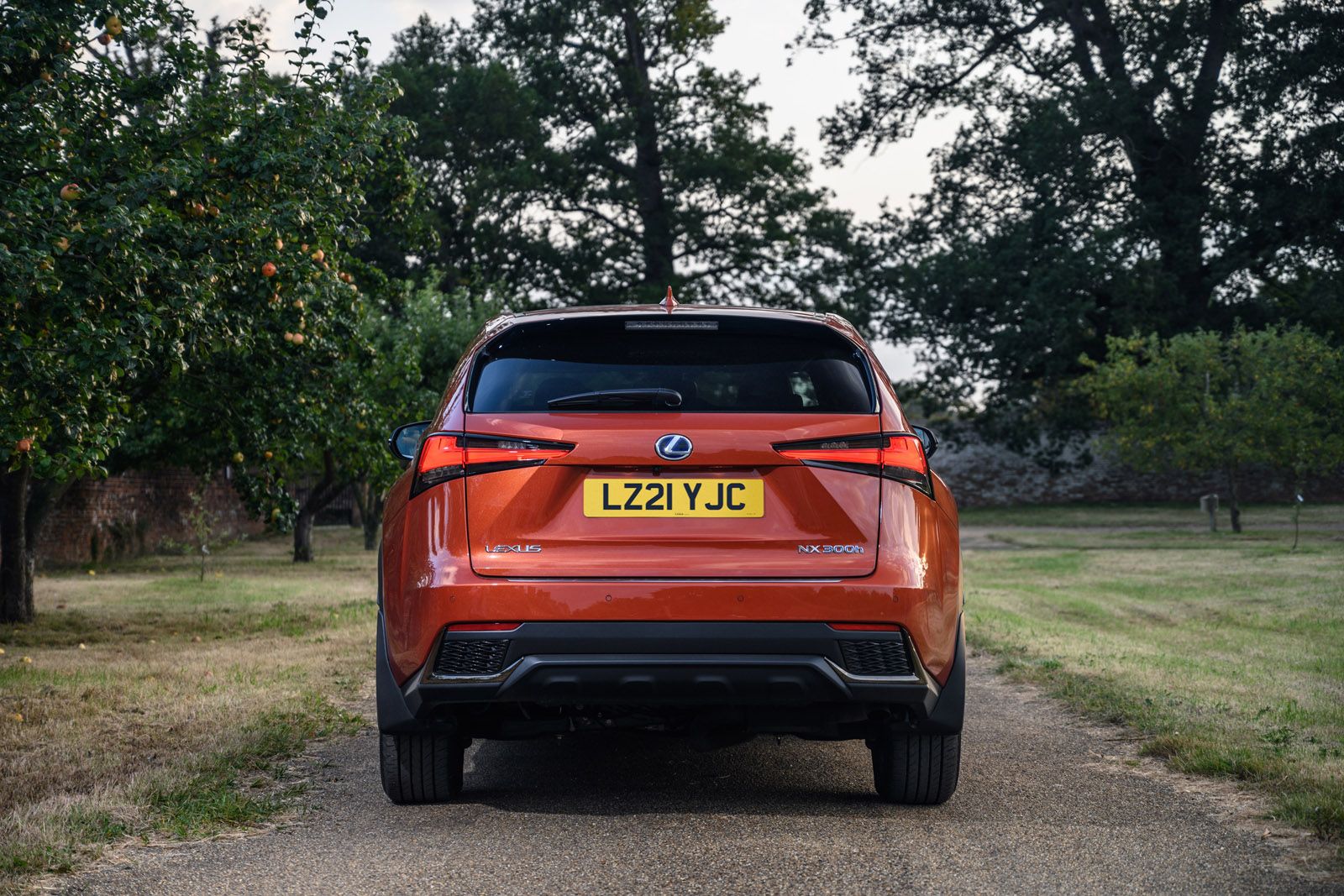 Lexus NX rear