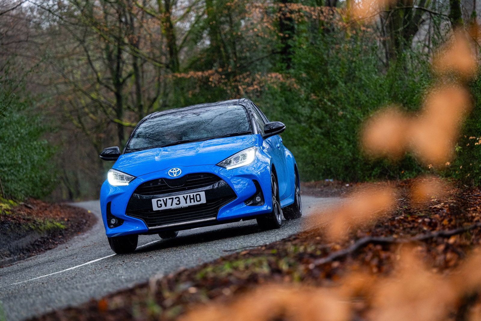 A blue car drives on a winding, wet road through a forest, with autumn leaves in the foreground.