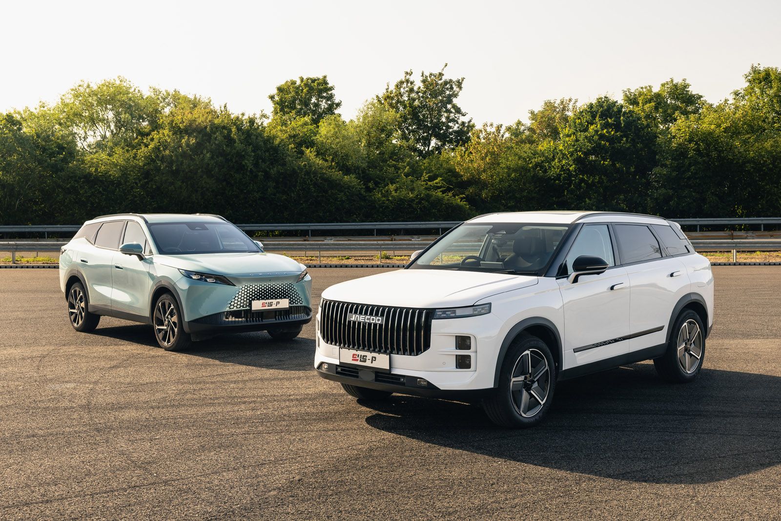 Two modern SUVs parked on a paved road, one white with a prominent grille, and one blue with a sleek design, surrounded by greenery.