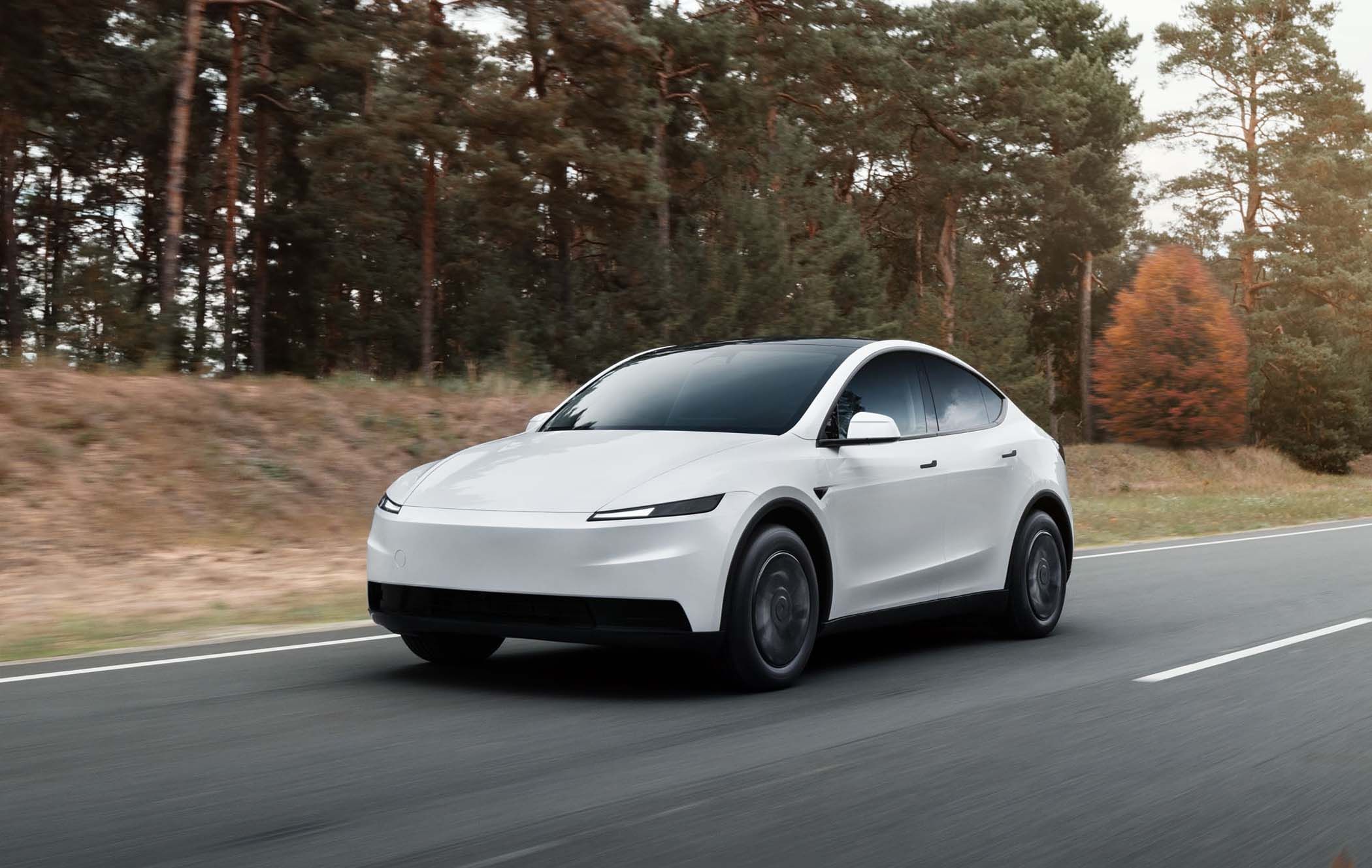 Tesla Model Y Standard