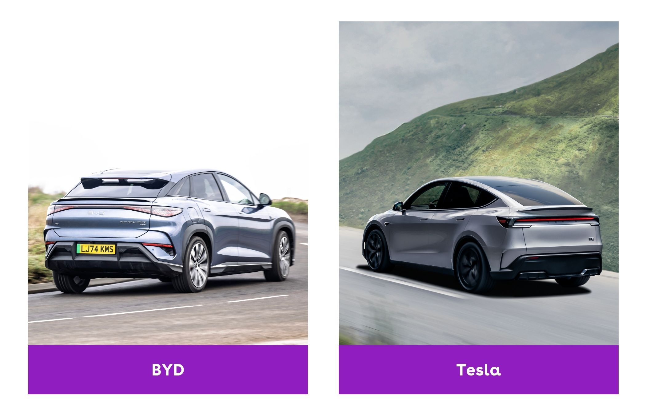 BYD vs. Tesla