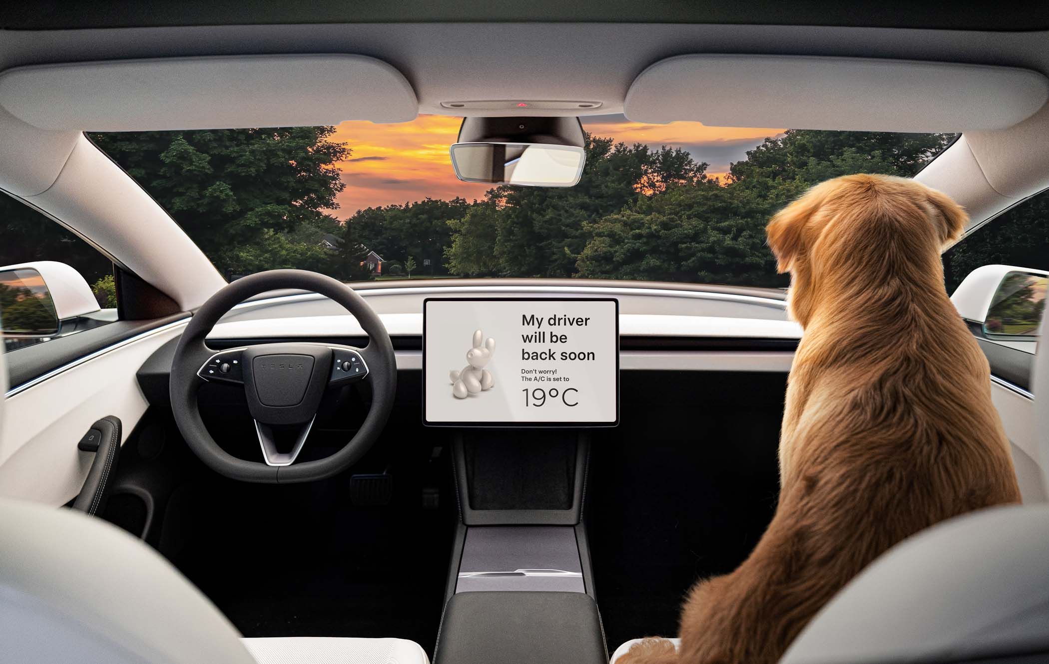 Tesla Model 3 Dog Mode